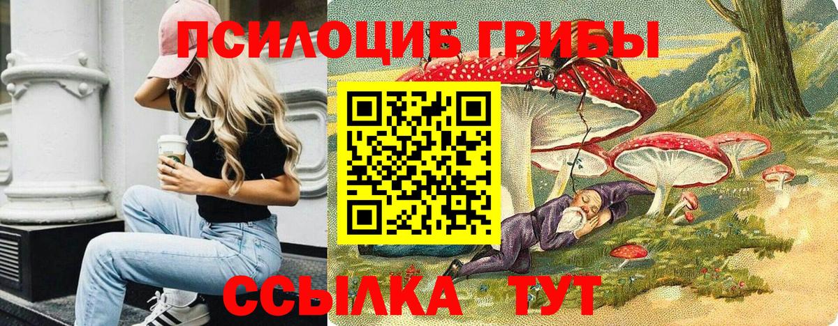 Верхняя Салда  Галлюциногенные грибы Magic Shrooms  Псилоцибиновые грибы MAGIC MUSHROOMS  Вход с VPN 